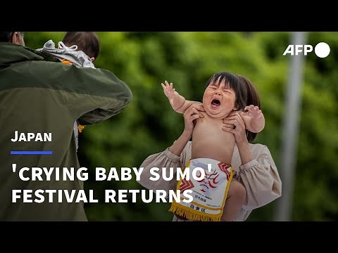 Japan's 'crying baby sumo' festival returns for the first time since the pandemic | AFP
