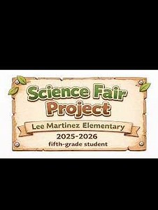 LMES SCIENCE FAIR PROJECT / HYDRAULIC ARM.