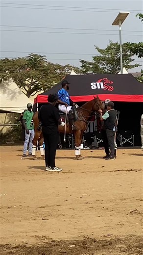 Exploring Horse Breeds in Nigeria for Equestrians