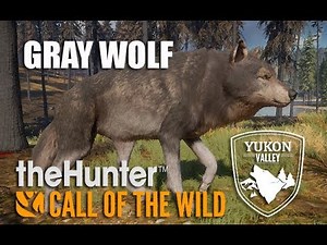 theHunter: Call of the Wild - Yukon Valley - Wolf Hunting