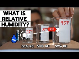What Is Relative Humidity? | Relative Humidity Explained