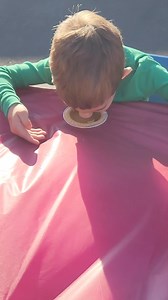 3.9K views · 32 reactions | Peter Peter, Pumpkin Pie Eaters! 不 These guests brought their appetites to Sunday's pumpkin pie eating contest. Watch the recap! | Story Land | Facebook