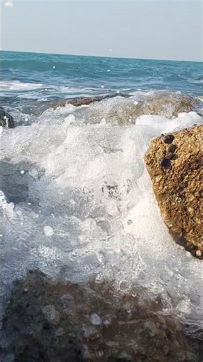 Calm Beach Waves 🌊 | Ocean Sounds for Deep Relaxation & Meditation#relaxingsounds #beach #nature