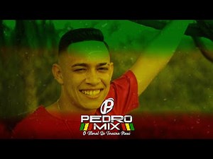 MC Murilo MT - Morena 155 (Reggae Remix) DJ Pedro Mix