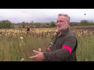 Sarthe : ouverture de la chasse à Vallon-sur-Gée