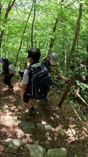 Hiking the Uljin Geumgang Pine Forest Trail Course 3