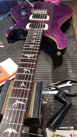 GUITARRA PRS SE CUSTOM 24 AMETHYST