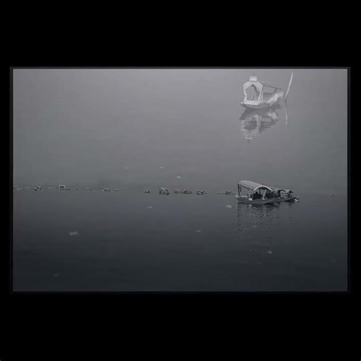 Boats on Dal Lake. Beautiful Monochrome