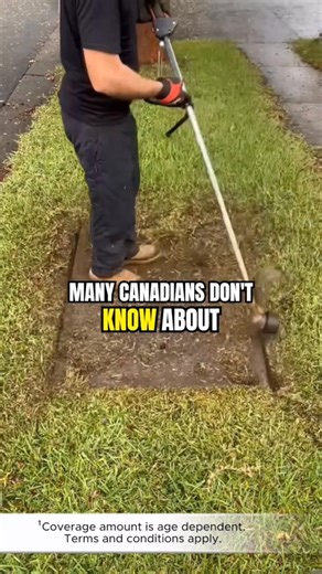 Don't have a plan in place that could leave a large cash gift to your kids or spouse? Leave them up to $1,500,000 through this affordable Life Insurance policy. ✅ Free no-obligation quotes ✅ Up to $1,500,000 in coverage (depending on your age) ✅ No Physical Medical Exam or Bloodwork Just click ‘Learn More’ to get started. Coverage amount is age dependent. Terms and conditions apply. | James Gordon