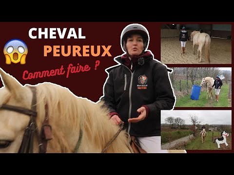 4 étapes pour désensibiliser un cheval peureux