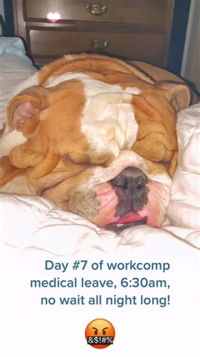 All night long, all night, all night long, all night!