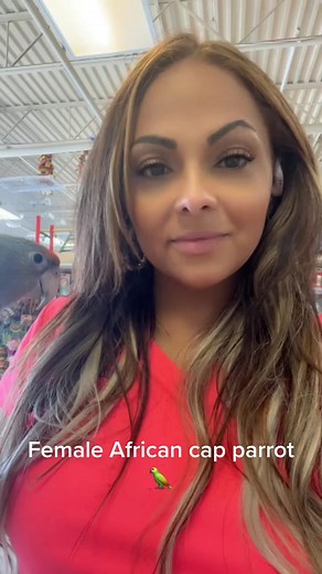 Just4Birds on TikTok