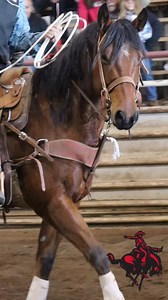 Short round highlights from FSCC #northwesternrodeo #rangerrodeoteam #rangerrodeo #NWOSU #RRR #nira #collegerodeo | Northwestern Oklahoma State University Rodeo Team