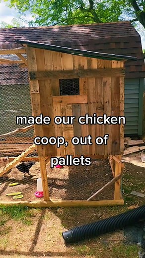 Creative Homemade Chicken Coop Design Ideas for Farm Life