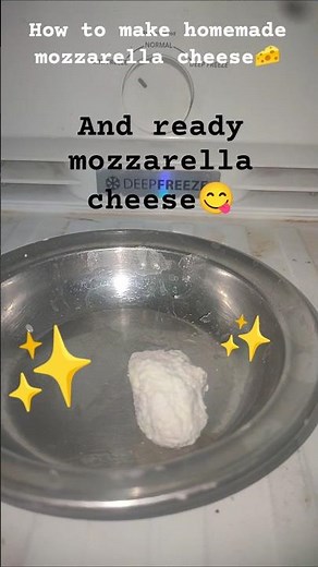 how to make mozzarella cheese at home 🧀😋✨🤩