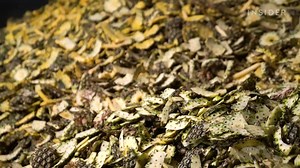 9.3K views · 190 reactions | A Vietnamese company is turning pineapple waste into natural alternatives to hand soap, laundry detergent, and more. Research suggests the enzymes from fermented fruit can fight germs and clean up waterways. | Business Insider Africa | Facebook