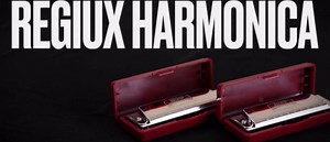 Harmonica Key of C, 10 Holes Diatonic, Rich Tone, Blues & Folk, Durable Design with Protective Case for Advanced Player & Beginner