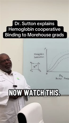 Understanding the Toughest Areas of the MCAT