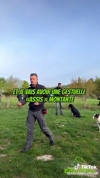 Apprentissage du ASSIS à l’école des chiots 🐶 D’EDUCHIEN