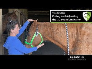 How to Fit & adjust your GG Equine Premium Breakaway Halter for escape artists to prevent removal