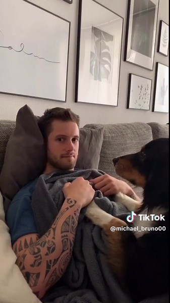 Heartwarming Moments: Dog Shows Affection to Owner