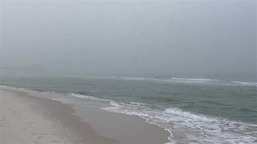 We are flying yellow flags in Orange Beach today - Wednesday, January 7th. Yellow Flags represent a medium hazard and urge caution to anyone entering the Gulf. 🎥: Cotton Bayou Beach. • Gulf Temperature: 63 degrees • Surf Conditions: Fair with waves around 1 foot and west running current. • Rip Current Forecast: Low Risk • Daily Weather: Partly sunny. The high temperature is in the lower 70’s. • Wind: Southwest winds around 5 mph. • UV Index: Low • Tides: Low Tide is scheduled for 7:43AM & High 