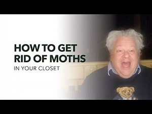 How to Get Rid of Moths in Your Closet