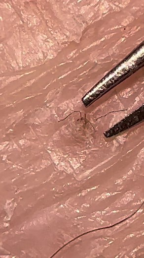 PickingOnMyself on TikTok