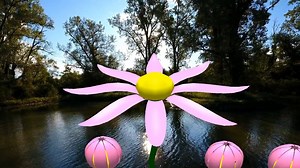 16K views · 96 reactions | ☀️ Experience Spring On The Farm! April...