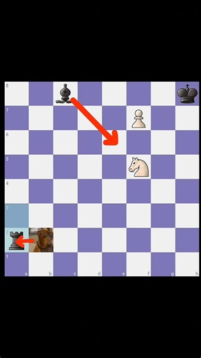 Horsey Mate Strikes Again! ♞💀 Chess Ranee-462 #chess #endgame