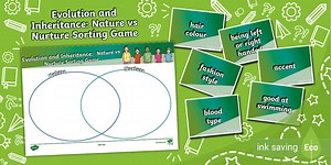 Nature vs Nurture Sorting Game