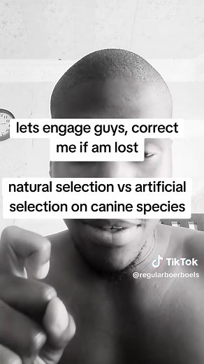 Natural Selection vs Artificial Selection in Dogs