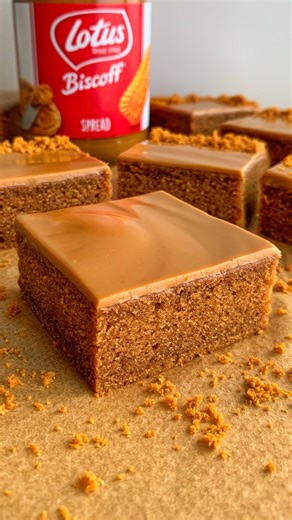 4-Ingredient Moist Biscoff Cake 😍 This Biscoff cake is so easy to make, plus it tastes amazing! The cake is super soft, it just melts in your mouth, and the Biscoff topping is so silky & smooth 🤤 Sound on for full instructions 🔉 All you need is: For the cake: 400g Lotus biscuits 1.5 tsp baking powder 380ml milk (whole or semi-skimmed), at room temperature For the topping: 125g Biscoff spread, melted 2 tbsp Lotus biscuit crumbs Tin size: 8x8” Enjoy! #dessert #cake #recipe #breakfast #baking | 