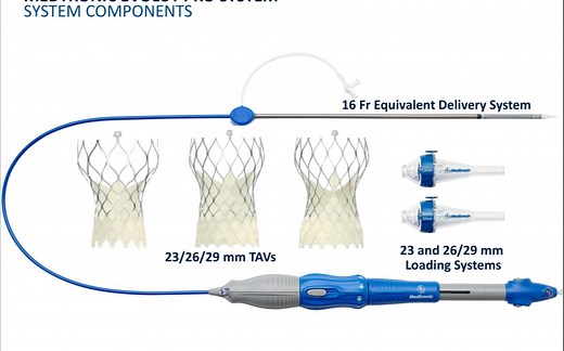 美敦力EVOLUT PRO SYSTEM 经导管主动脉瓣置换 (TAVR) 术前支架装载