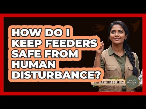 How Do I Keep Feeders Safe From Human Disturbance?