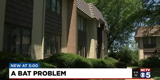KC woman speaks out on bat issue at condo