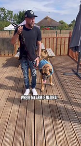 Lead Basics With Reactive Dog Heel means walk by my side, at my pace, I stop, you stop, almost as if holding the hand of a small child. Heel is a job an instruction, one that is non negotiable, one that can build security, direction and confidence and mastering it can reduce reactivity tenfold. Free/sniff time is a reward for a job(heel) well done. We have covered this and how to stop a dog pulling during sniff time and also we have step by step tutorials on the www.southenddogtraining.co.uk web