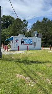 😂😂😂 | Red Squirrel