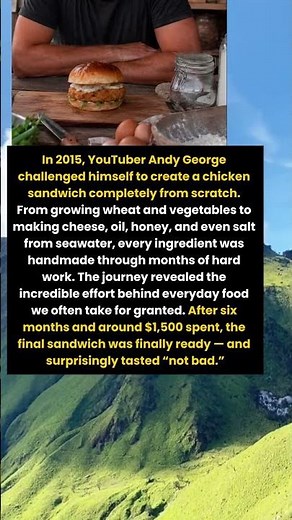 He Spent $1,500 and 6 Months Making One Chicken Sandwich From Scratch