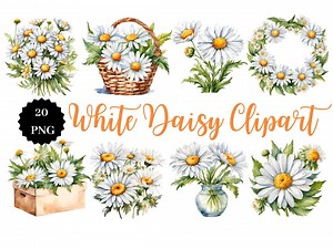 White Daisy Clipart | 20 PNG Images | Transparent Background | Floral Art | Digital Download | Botanical Graphics - Etsy