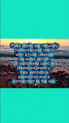 Is Your Puka Shell Necklace Actually Real? #shorts