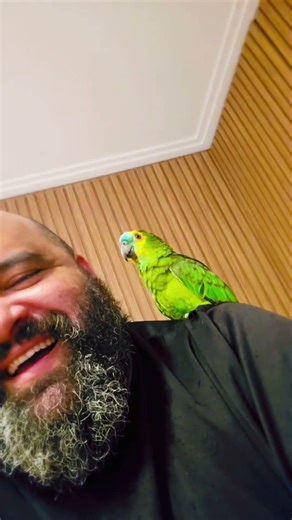 Oi meu amor.... #parrots #puppy #cockapoo #papagaio #birds