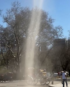 88K views · 438 reactions | I've never seen one so close!  | UNILAD | Facebook