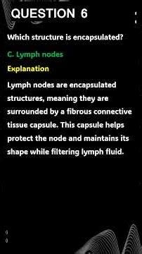 Lymphatic System Quiz