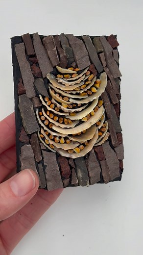 8.6K views · 196 reactions | Another mosaic for my 100 days project- this one is inspired by an image of some turkey tail fungus growing on an old tree stump. It was fun using the shapes of the shells to create the fungus for this one. The mosaic measures 2.5 x 3.5 inches and is made with shells, filati (glass stringers) and stone. | Rachel Davies Mosaics | Facebook