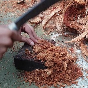 Cutting For Cocopeat | Gardening & Farming