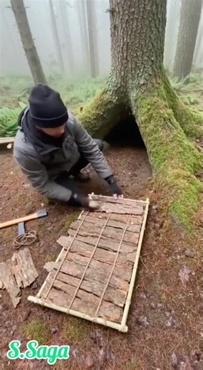 I Built a Secret Survival Shelter Inside a Giant Tree Stump! 🌲🔥|#youtubeshorts