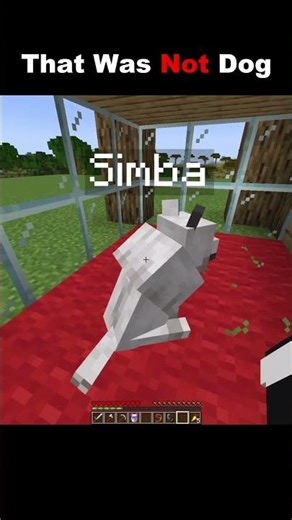 That Was Not Dog 🐕 #minecraft #shorts #minecraftshorts
