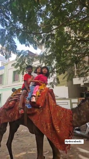 camel 🐪#hyderabad#shorts#viral#minivlog#trending‪@Hyderabadisasuralvlogs‬