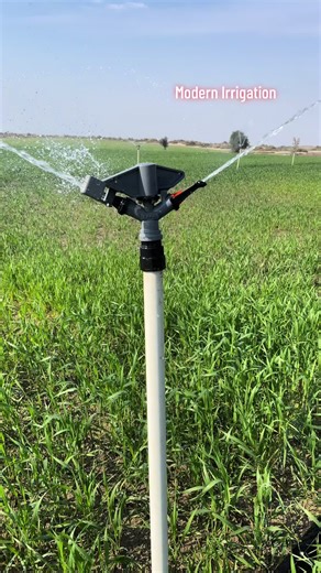 Master Sprinkler For Agriculture Irrigation #sprinkler #irrigation #farming #foryou #viral @modernirrigation